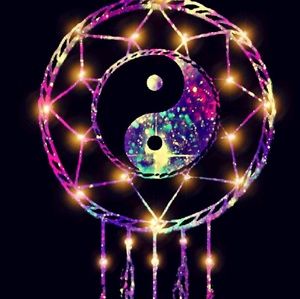 Meet your Posher, Dakota